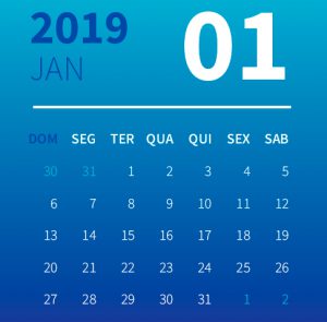 organizar as contas 2019 janeiro