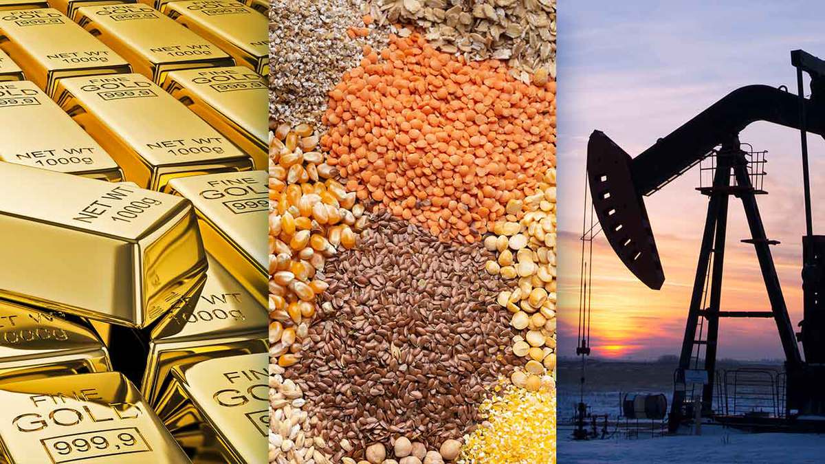 Commodities: o que são e como funcionam? | Blog da Foregon | Foregon