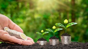 5 dicas para alcançar a estabilidade financeira