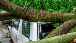 auto para danos natureza