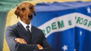 Homem de terno com os braços cruzados e com a cabeça de um cachorro vira lata, representando a criptomoeda Vira Lata Finance.