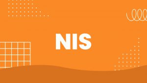 Número do NIS: Como Consultá-lo Rapidamente?