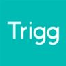 Tipos de empréstimo do Trigg logo